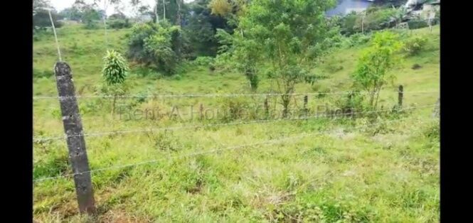 MLS-26-2091 KQ VENTA LOTE RIO CUARTO GRECIA ALAJUELA CONTACTENOS AL # 88987222 en Grecia, Alajuela — ₡ 58 000 000