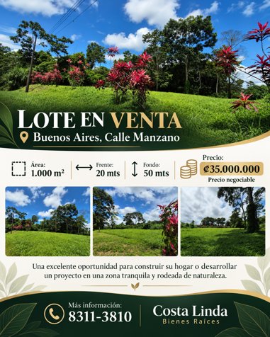 🌿 LOTE EN VENTA EN BUENOS AIRES – CALLE MANZANO en Guápiles, Pococí, Limón — ₡ 35 000 000