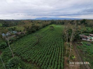 Terreno 7168m2 en venta en Florencia, San Carlos, Alajuela — 35 000 000 ₡ - Foto 4 de 5
