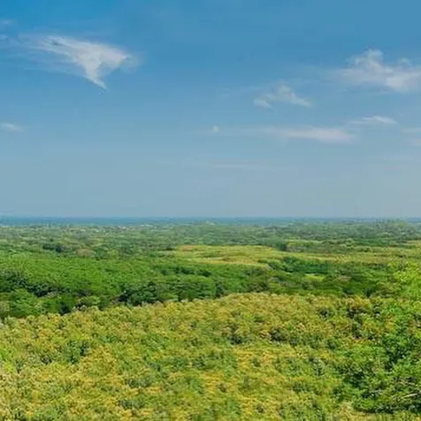 Beach lot for sale, Pinilla, Tamarindo in Tamarindo, Santa Cruz, Guanacaste — $180,000 - Photo 3 of 7