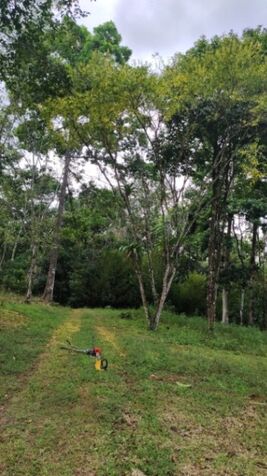 Hermosa finca  en La Tigra, San Carlos, Alajuela — ₡ 150 000 000