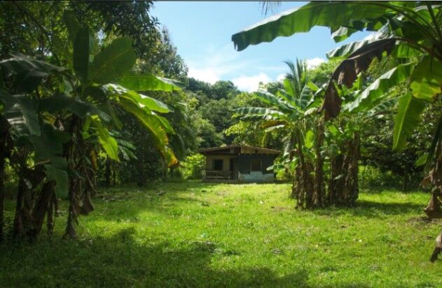 ¡Oportunidad Única de Inversión en Puntarenas, Costa Rica! Finca impresionante con vistas al mar en Paquera, Puntarenas — $8,800,000