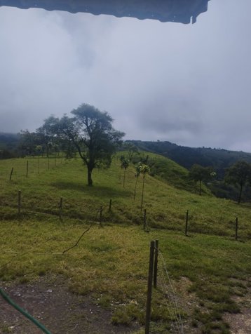 VENTA- Finca Ganadera con Infraestructura para Lechería -  entre San Ramón y Zarcero - 25 manzanas in Brisas, Zarcero, Alajuela — ₡ 250 000 000