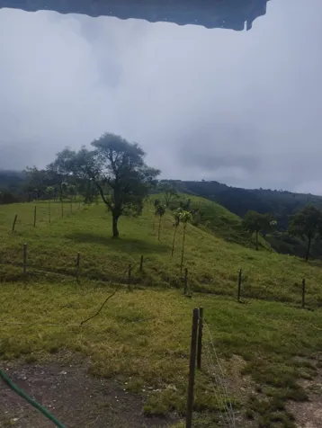 VENTA- Finca Ganadera con Infraestructura para Lechería -  entre San Ramón y Zarcero - 25 manzanas in Brisas, Zarcero, Alajuela — ₡ 250 000 000