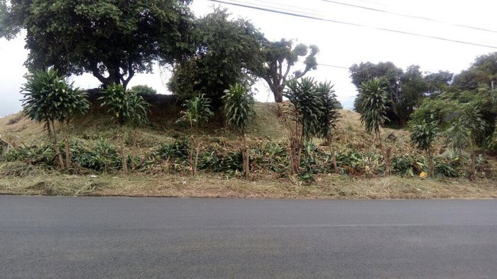VENTA DE LOTE COMERCIAL Y DE ALTA DENSIDAD, HEREDIA, ULLOA en Ulloa, Heredia — $1,044,500