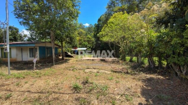 LOTE EN VENTA EN LAS JUNTAS DE PACUAR, PÉREZ ZELEDÓN – 1,200 m² PLANO Y LISTO PARA CONSTRUIR en Río Nuevo, Pérez Zeledón, San José — $74,000