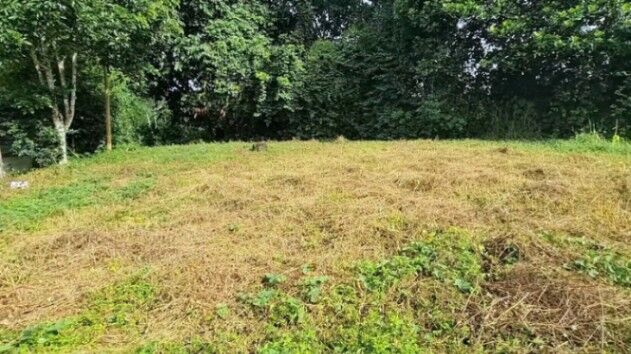 LOTE EN VENTA EN SAN PEDRO DE CAJÓN: 1070 M², PLANO Y PRIVADO, CERCA DEL EBAIS in San Pedro, Pérez Zeledón, San José — ₡ 13 000 000