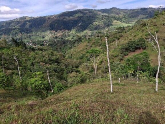 Venta de Lote en Turrialba-Cartago. RAH 26-1276 en La Suiza, Turrialba, Cartago — $80,000