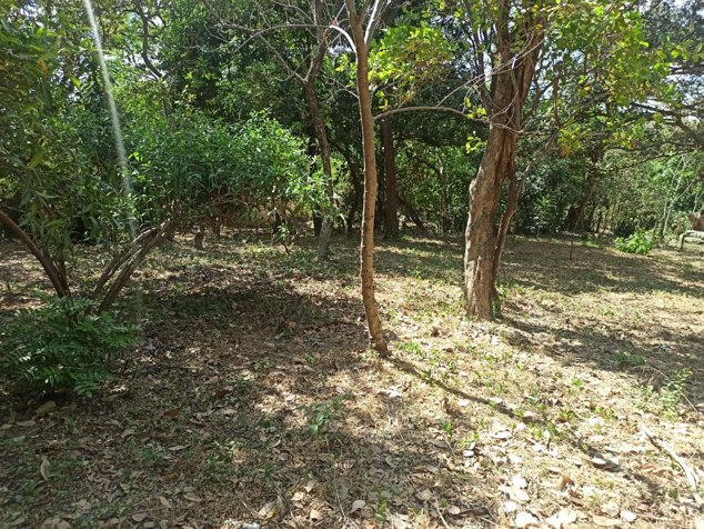 Venta de Lotes en Librería / Guanacaste en Liberia, Guanacaste — ₡ 9 281 000