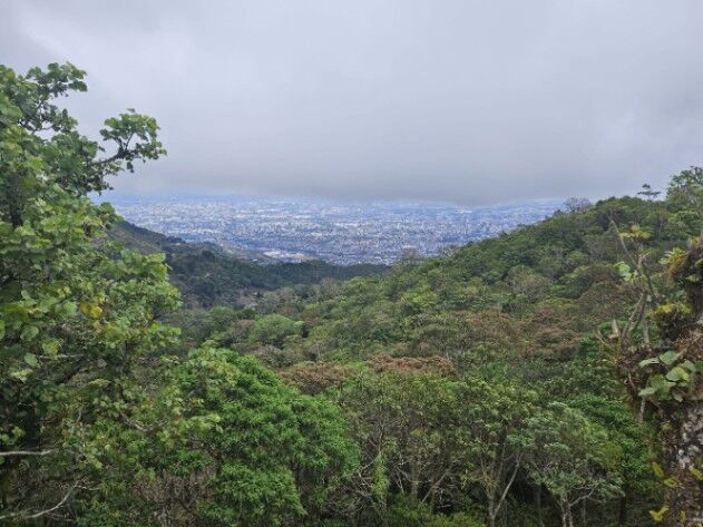 DE OPORTUNIDAD BELLÍSIMA FINCA EN ASERRÍ, SAN JOSÉ.  en Aserrí, San José — $99,000