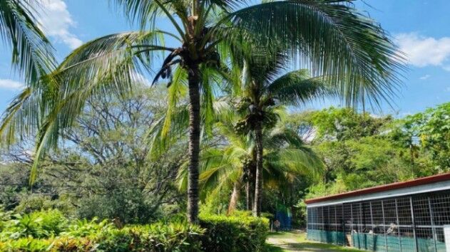 Se vende amplia finca de 2.4 hectáreas en Concepción de Heredia 25-1225 en Concepción, Atenas, Alajuela — $550,000