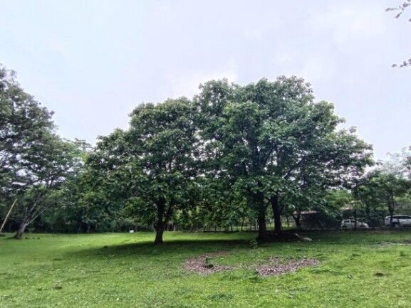 Se vende amplio lote de 7000m2 en Guácima Alajuela 25-1939 in Guácima, Alajuela — $318,500
