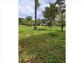 Farm For Sale La Virgen, Sarapiquí, Heredia