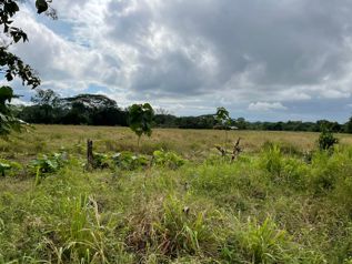 Venta de Finca, Puntarenas, Parrita, El Playon - Photo 3 of 3