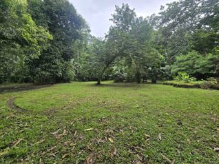 LOTE EN HOME CREEK, LIMON. en Cahuita, Talamanca, Limón — $128,000 - Foto 4 de 8