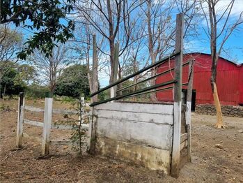 Finca en Venta Palmira, Cañas, Guanacaste