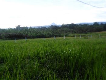 Finca con vistas a dos volcanes cerca del Río Celeste, GUATUSO  en Katira, Guatuso, Alajuela — 115 000 000 ₡ - Foto 5 de 23