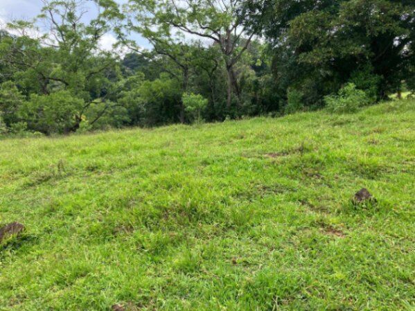 Atenas, Alajuela, Costa Rica, la plusvalía crece día a día: 3 hectáreas con frente a calle asfaltada en Atenas, Alajuela — $1,000,000