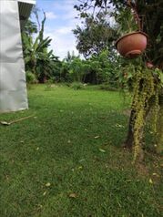 Se vende en Duacarí, Guácimo, Limón — 13 000 000 ₡ - Foto 5 de 5