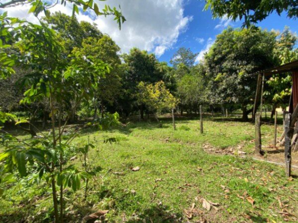 Gran Oportunidad  en Rita, Pococí, Limón — ₡ 60 000 000