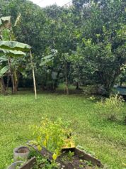 Venta de propiedad en Nosara  in Nosara, Nicoya, Guanacaste — 250 000 000 ₡ - Photo 4 of 8