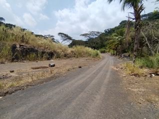 Propiedad Uso Mixto, Tacares Grecia in Tacares, Grecia, Alajuela — $800,000 - Photo 4 of 4