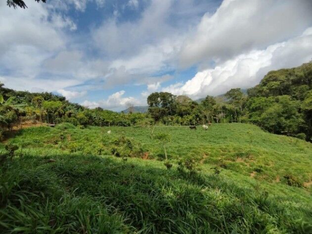 SE VENDE BELLA FINCA EN SAN GERARDO DE PLATANARES, PÉREZ ZELEDÓN, COSTA RICA. en Platanares, Pérez Zeledón, San José — ₡ 130 000 000