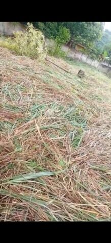 SE VENDE BELLA PROPIEDAD EN VAINILLA DE ATENAS.  en San José, Alajuela — ₡ 35 000 000