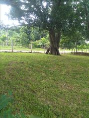 Vendo Lote cerca de la playa. en Miramar, Montes De Oro, Puntarenas — 75 000 000 ₡ - Foto 4 de 9