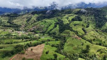 Finca de 56 hectares en San Marcos de Baru, Perez Zeledon. en Barú, Pérez Zeledón, San José — $699,999 - Foto 4 de 10