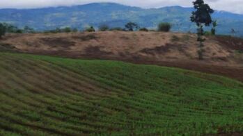 Venta de Lote en Turrialba, Cartago. RAH 26-1043 en Santa Teresita, Turrialba, Cartago — 232 430 000 ₡ - Foto 4 de 20