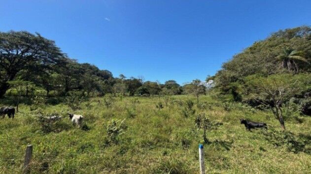 DE OPORTUNIDAD BELLA PROPIEDAD EN LOS ÁNGELES DE ATENAS.  en Atenas, Alajuela — ₡ 80 000 000
