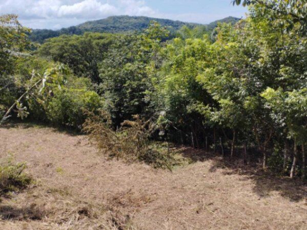Venta de Quinta en Esparza de Puntarenas. RAH 26-374 (NR) en Espíritu Santo, Esparza, Puntarenas — $125,000