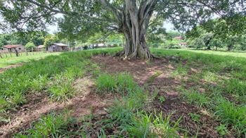 VENTA DE LOTE, USO MIXTO, ALAJUELA, ATENAS, SANTA EULALIA en Santa Eulalia, Atenas, Alajuela — $227,000 - Foto 5 de 6