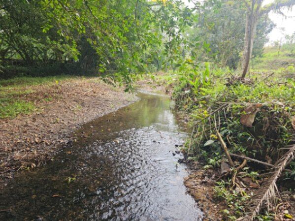 SE VENDE BELLÍSIMA FINCA EN BIJAGUAL.  en Carara, Turrubares, San José — ₡ 204 000 000