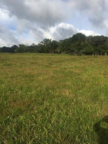 🏞️ LOTE CON GRAN POTENCIAL DE DESARROLLO📍 Tilarán, Guanacaste en Tilarán, Guanacaste — ₡ 70 000 000 - Foto 3 de 4