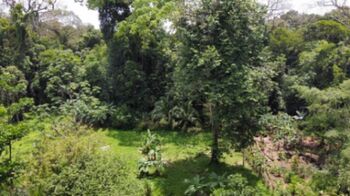 Finca en Tortuguero en Colorado, Pococí, Limón — $315,000 - Foto 4 de 4
