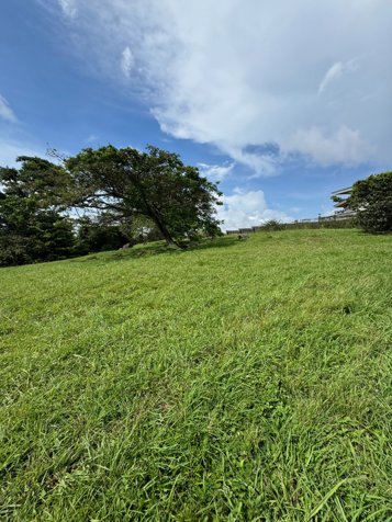 VENTA DE LOTE RESIDENCIAL, ALAJUELA, SAN RAFAEL, COND HACIENDA ESPINAL en San Rafael, Alajuela — $517,800