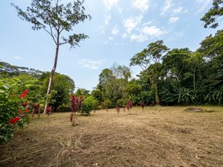 Se vende terreno de 3000 m² a 5 min de Puerto Vargas, Cahuita (PA)
