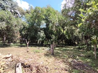 Venta de lote de 1.590 m2 en Buenos Aires, Puntarenas - Photo 2 of 3