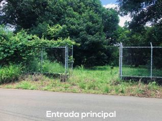 FINCA EN VENTA, TOPOGRAFÍA TOALMENTE PLANA, OROTINA, USO MIXTO in Hacienda Vieja, Orotina, Alajuela — $449,000 - Photo 4 of 14