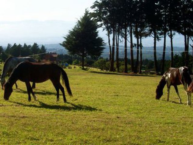 QUINTAS EN VENTA EN POAS ALAJUELA en San José, Alajuela — $70,000