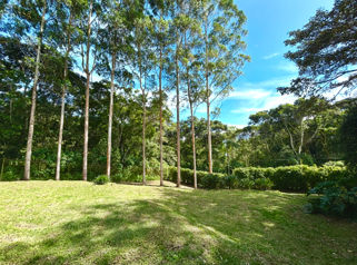 VENTA DE LOTE PLANO, 1.416,67 m², SAN RAMÓN, LA UNIÓN in San Ramón, La Unión, Cartago — $255,500 - Photo 3 of 9