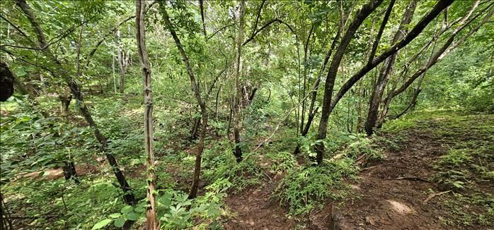 Venta terreno Pinilla Tamarindo  in Tamarindo, Santa Cruz, Guanacaste — $1,150,000