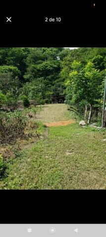 finca en pejibaye perez zeledon  en San Isidro De El General, Pérez Zeledón, San José — ₡ 55 000 000
