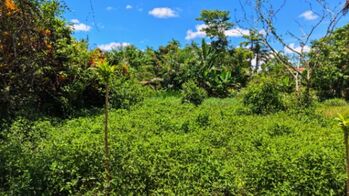 EN VENTA - TERRENO LISTO PARA CONSTRUIR EN UBICACION ESTRATEGICA en Cajón, Pérez Zeledón, San José — 5 000 000 ₡ - Foto 5 de 9