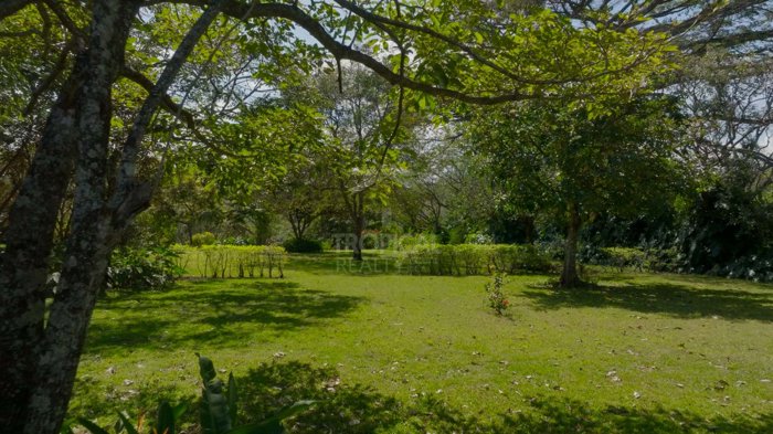 Terreno Premium en Venta en La Guácima – 1.6 ha con Potencial en Guácima, Alajuela — $808,000 - Foto 3 de 19