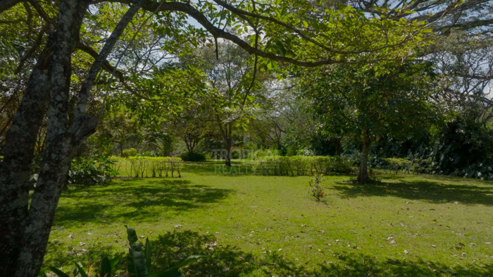 Terreno Premium en Venta en La Guácima – 1.6 ha con Potencial en Guácima, Alajuela — $808,000 - Foto 3 de 19