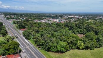 VENTA DE FINCA ALTA DENSIDAD Y COMERCIAL, LIMÓN, GUÁPILES - 9583360 en Guápiles, Pococí, Limón — $574,600 - Foto 5 de 10
