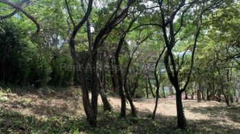 Venta lote residencial de 1.441 m² con vistas y clima fresco #27-123 GS in Pozos, Santa Ana, San José — $338,000 - Photo 5 of 13